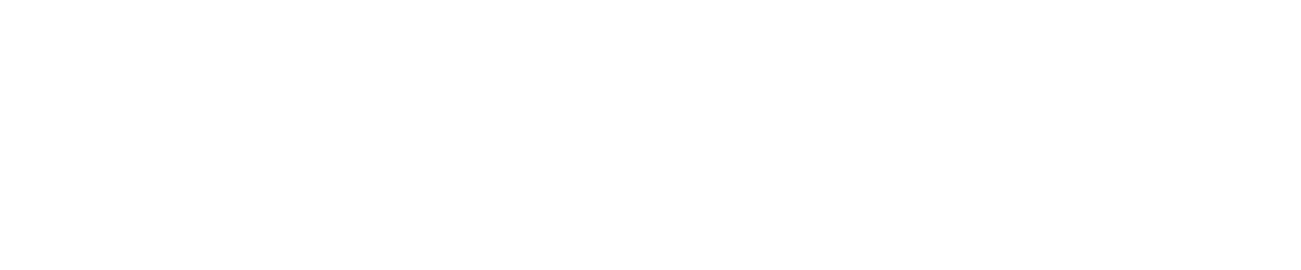 safety_ins_logo-white-alone_2023.png