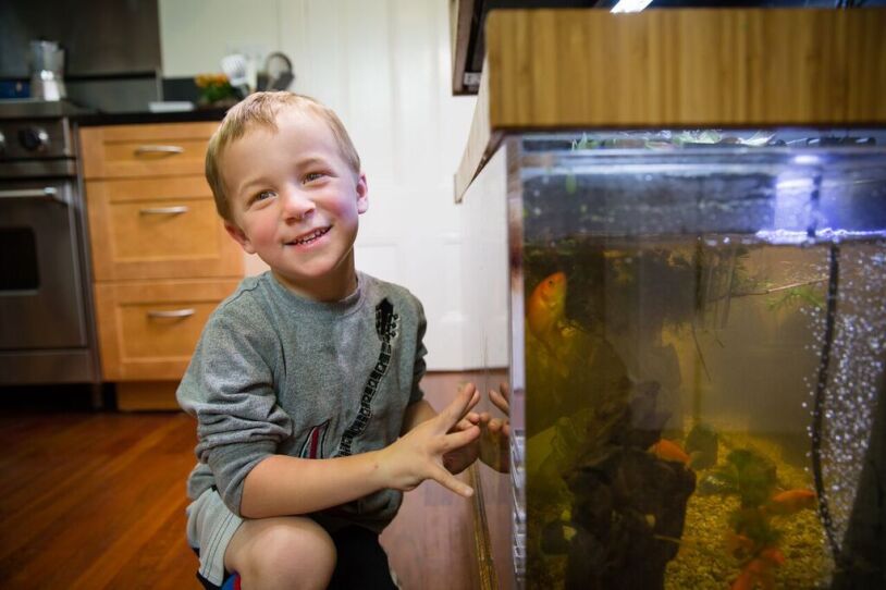 A child crouches next to a base layer fish tank.
