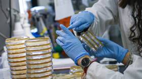 Researchers Work On Developing Test For Coronavirus At Hackensack Meridian's Center For Discovery and Innovation