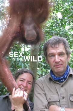 Sex in the Wild