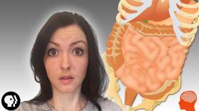 The Strange Location of Your Second Brain