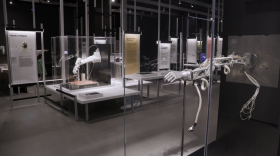 MIT Museum, Frederick Law Olmsted, and more