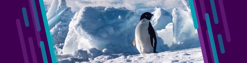Climate_WebBanner_2732x700.jpg