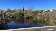  Looking west from the footbridge in Riverside Park offers a view of a small pond and St. Anthony of Padua Church in New Bedford's North End. The city and a nonprofit partner plan to turn this pond into a salt marsh.