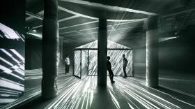 Three people stand in a dark exhibit hall outside of a light-covered garden shed. The lights shine white stripes across the room.