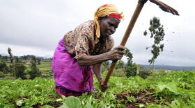 2DU_Kenya_86.jpg