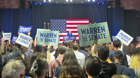 Warren speaks from a far-away podium on stage, with hundreds of supporters between the photographer and the senator. A massive American flag hangs behind her.