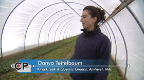 Wednesday, January 23, 2013