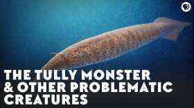 The Tully Monster & Other Problematic Creatures
