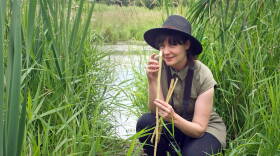 Prairies: Life in Water
