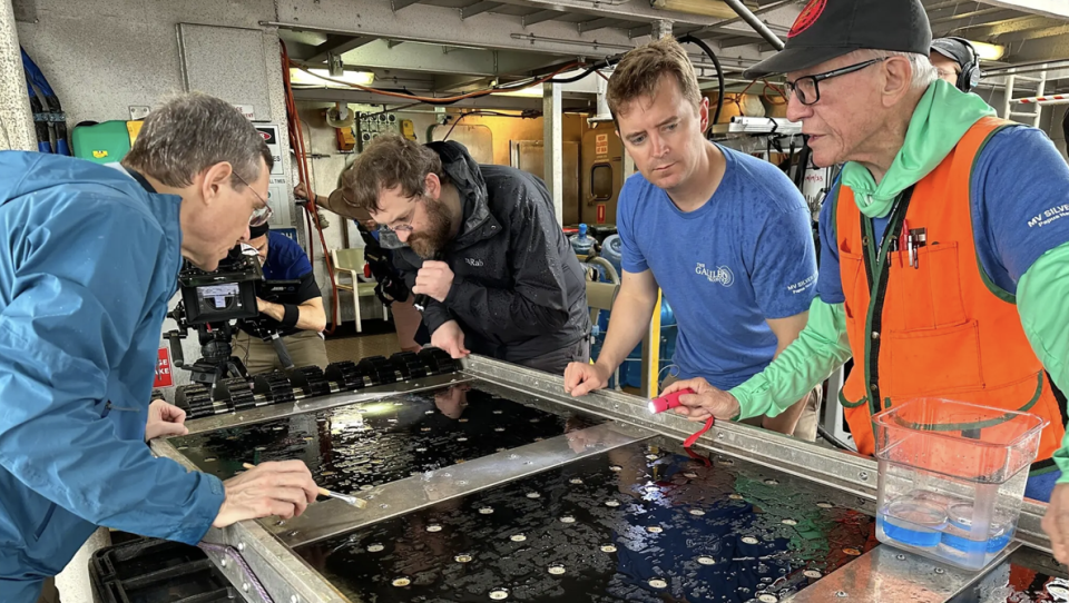 Avi Loeb and colleagues examine fragments during the Galileo Project's June expedition.