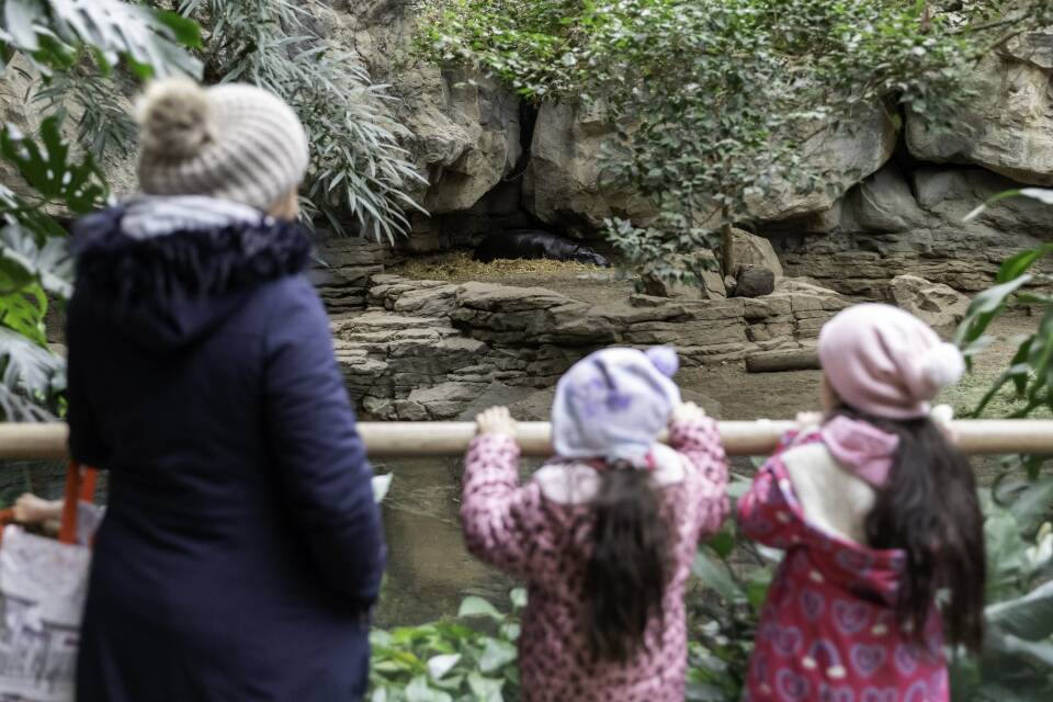 20240407_BPSSundays_credit Mike Mejia, Boston Mayor's Office.jpg