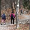 Three hikers in light jackets walking through woods. The leaves on all the trees around them have fallen.