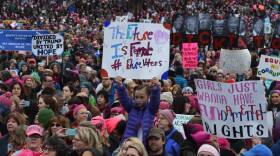 A massive crowd of people fill a park. Many are wearing pink hats. Some hold signs saying "the future is female" and "Girls just wanna have fundamental rights"