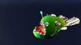 Why Do Deep Sea Creatures Look So Scary?