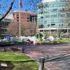 Various tents appear on the campus of Northeastern University