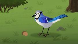 Now streaming: Wild Kratts