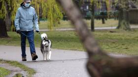 A man wearing a protective mask walks a dog on the Esplanade in Boston.
