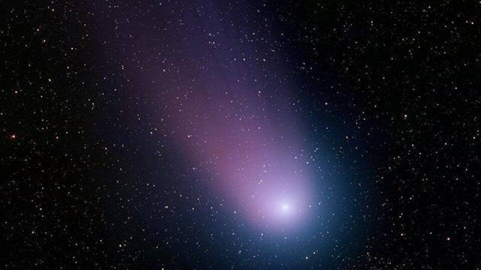 Comet Encounter: Comet of the Century