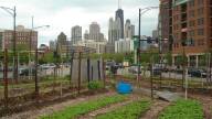 chicago_farming.jpg