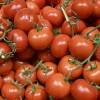 Tomato shortages in the U.K. are being blamed on bad weather, energy prices and trade policy