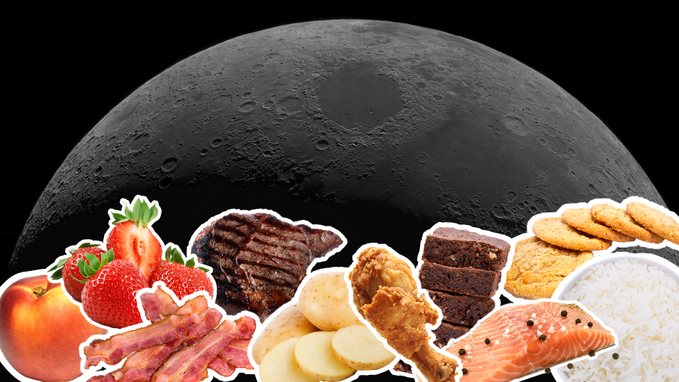 space food v1.png
