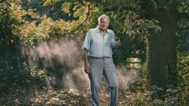 Now streaming: Extinction: The Facts