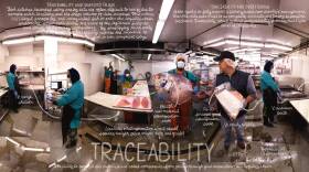 Traceability