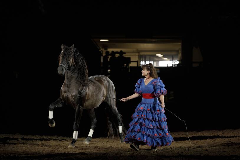 Staci Diaz and her horse prepare to entertain the audience at the Mexican Rodeo Extravaganza with their performance called "Liberty Horse."