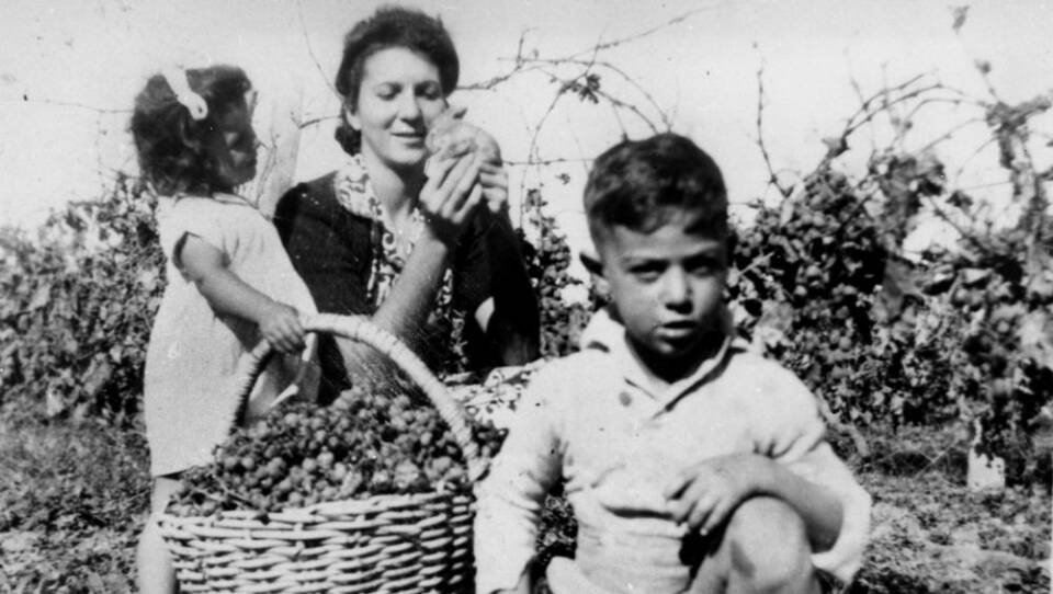Family finds a baby rabbit while harvesting grapes in Queensland, Australia (1949)