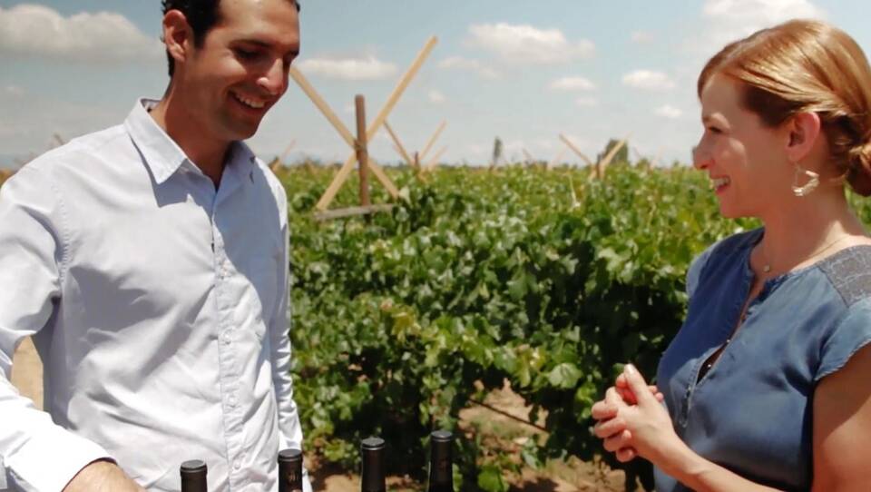 Summer Evening Party