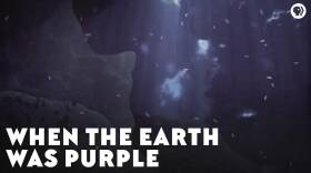 When The Earth Was Purple
