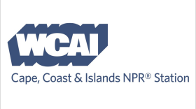 WCAI Logo Full.jpg