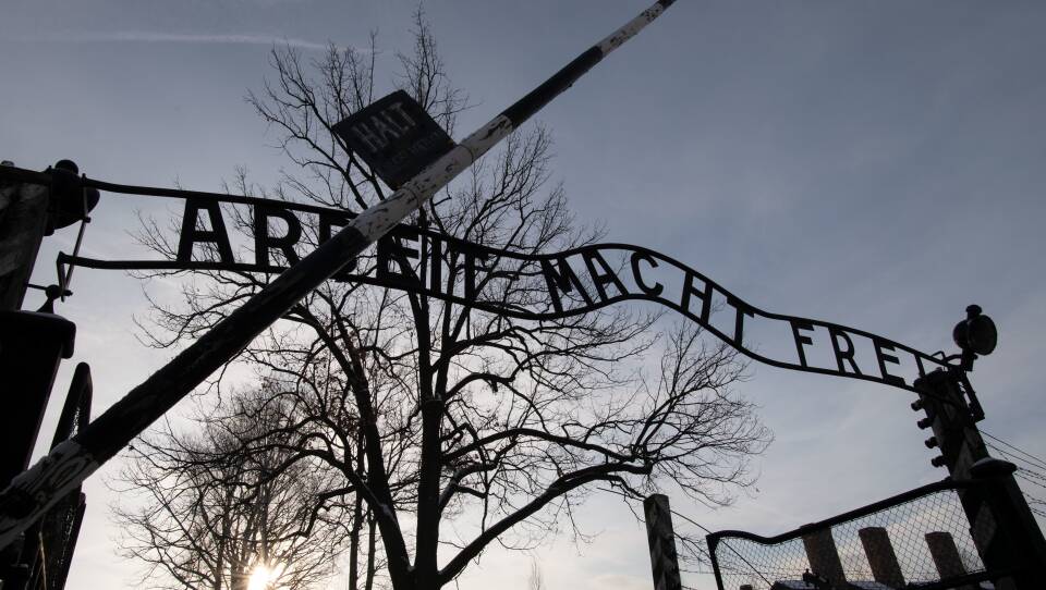 Holocaust survivors visited the former Auschwitz concentration camp on International Holocaust Remembrance Day.