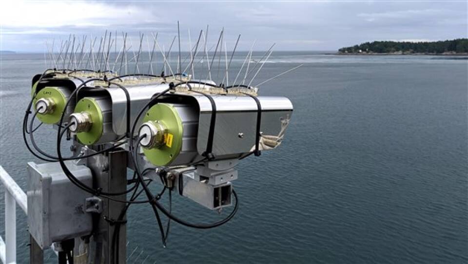 190703-thermal-ir-cameras-in-bc-for-whale-detection-se-446p_f9d4faace2bb5d69165f09856b6112ea.fit-560w.jpg