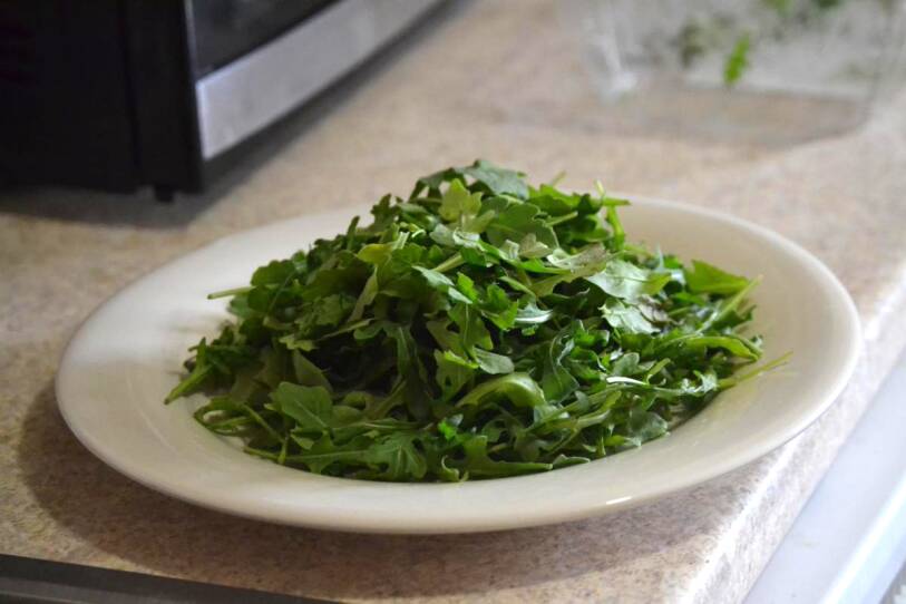 A pile of arugula, slightly past its prime.