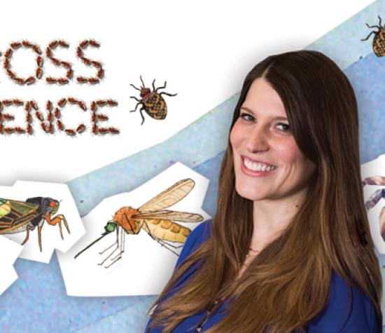 Gross Science