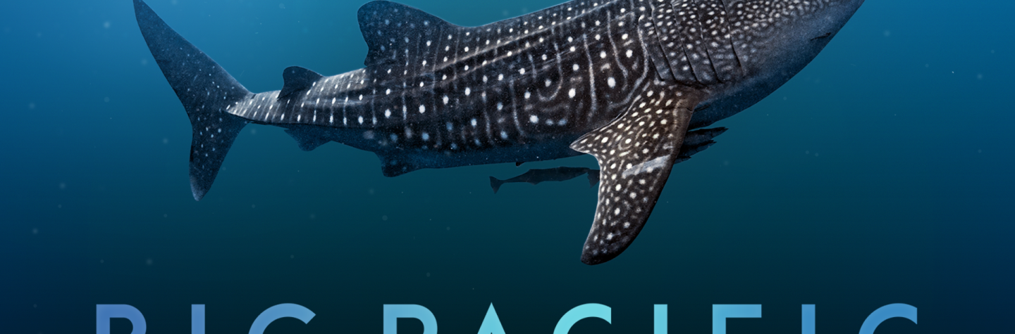 Big Pacific