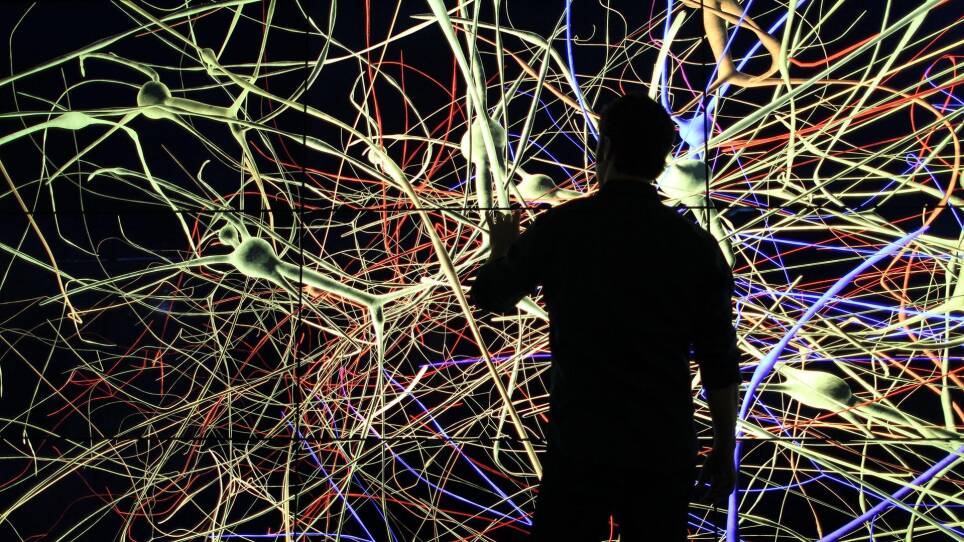 The Brain with David Eagleman Season 1