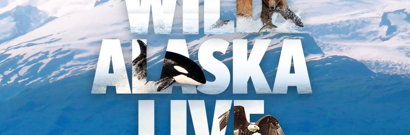 Wild Alaska Live