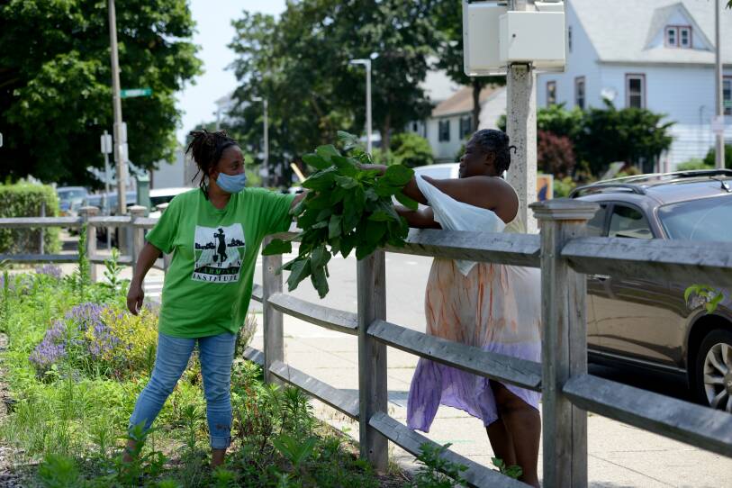 Urban Farming Institute in Mattapan