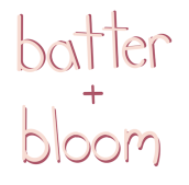 Screenshot 2025-05-12 at 4.08.29 PM.png