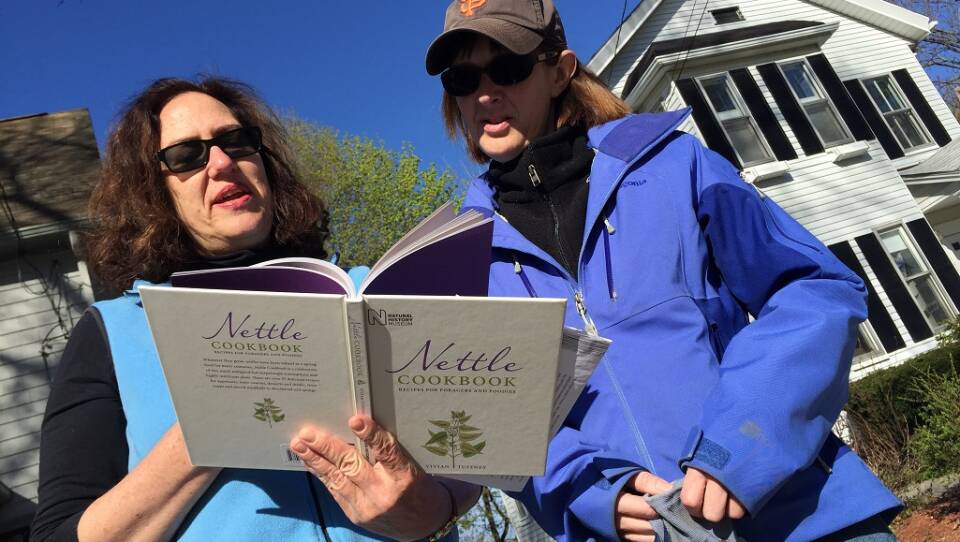 Ingrid Gallagher and her Arlington neighbor discuss their favorite nettle recipes.