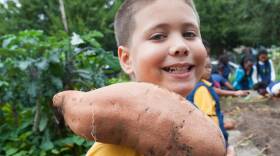 School Lunch Revival
