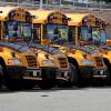 BPS Buses