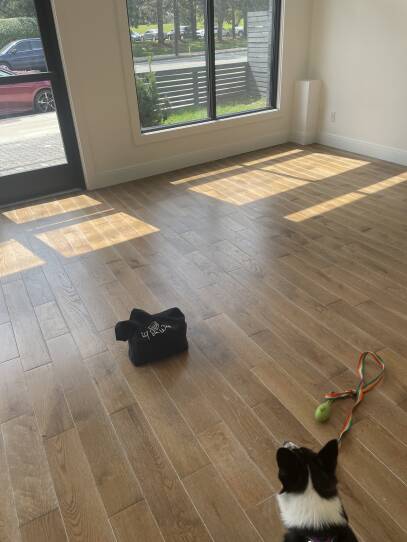 This is photograph of an empty room. there are wood floors. In the foreground sits a black and white dog. In the middle of the room on the floor, is what looks like a black bag with white writing on it.
