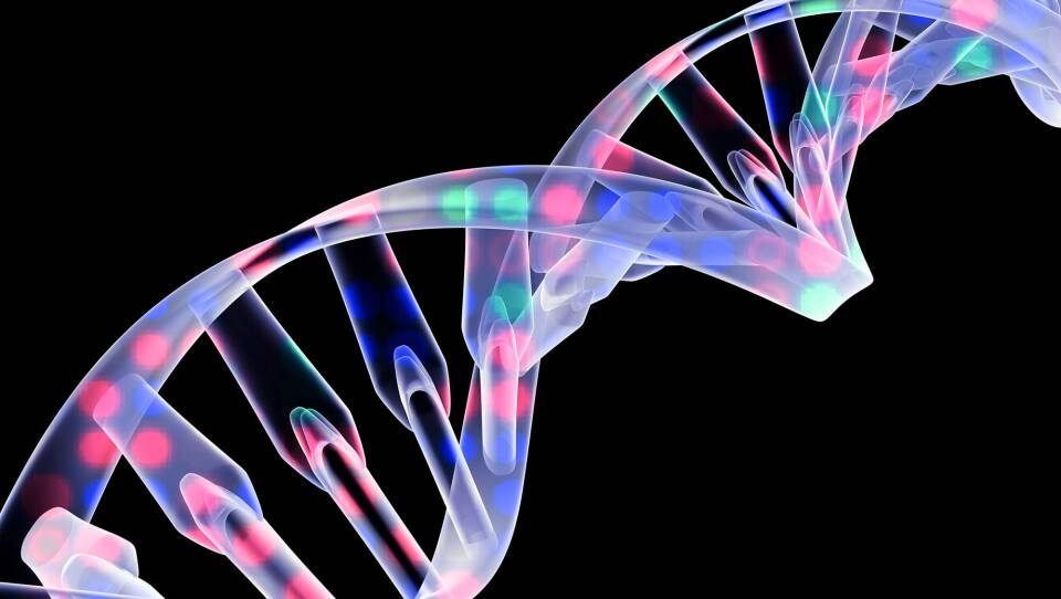 dna-double-helix_custom-ed568d8d79f4dc4de569e96332a102548d154426.jpg
