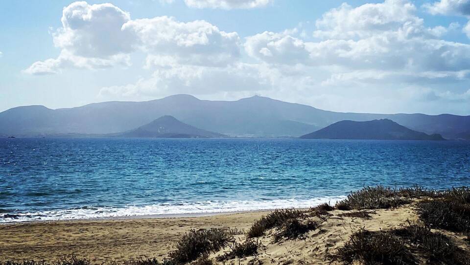 Fresh From Farm to Sea