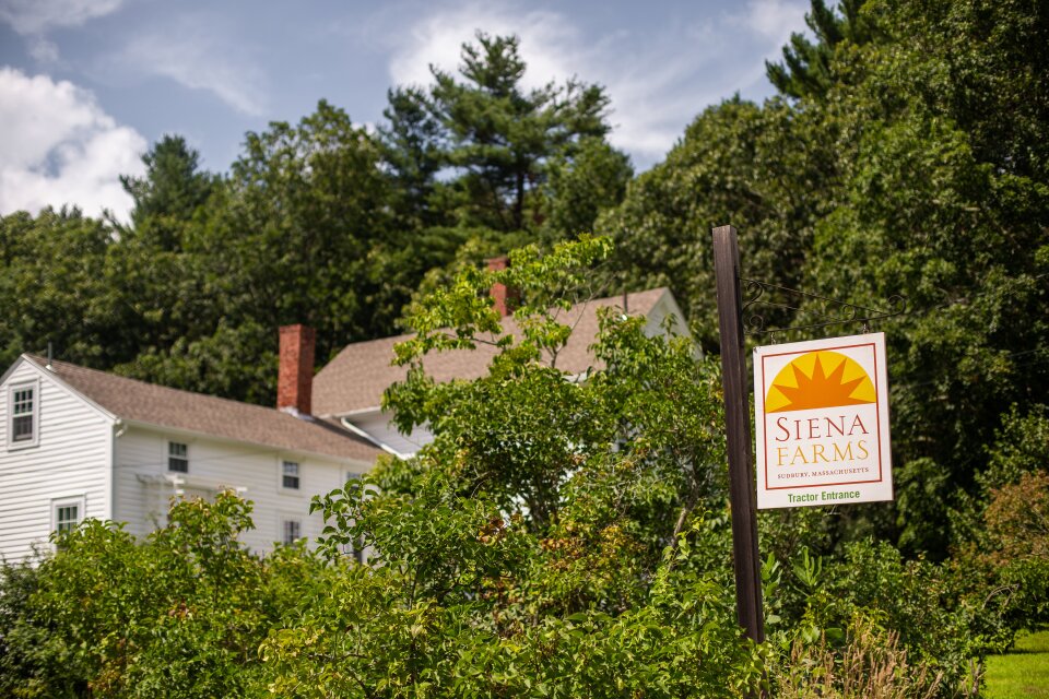 siena-farms-sign.jpg