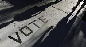 Election 2020 Nevada Voting
